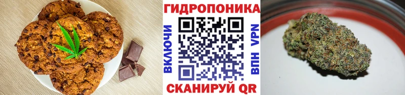 купить наркотик  Ардатов  Cannafood конопля 