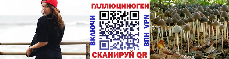даркнет сайт  Ардатов  Псилоцибиновые грибы Magic Shrooms 